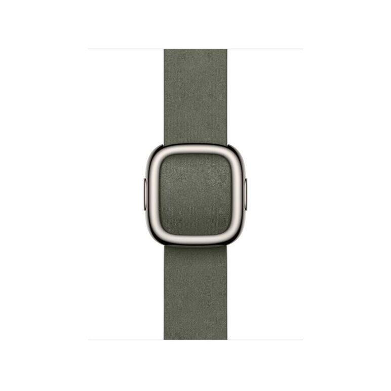 42mm sage gray modern buckle - large,  Bratari fitness | electropc.ro
