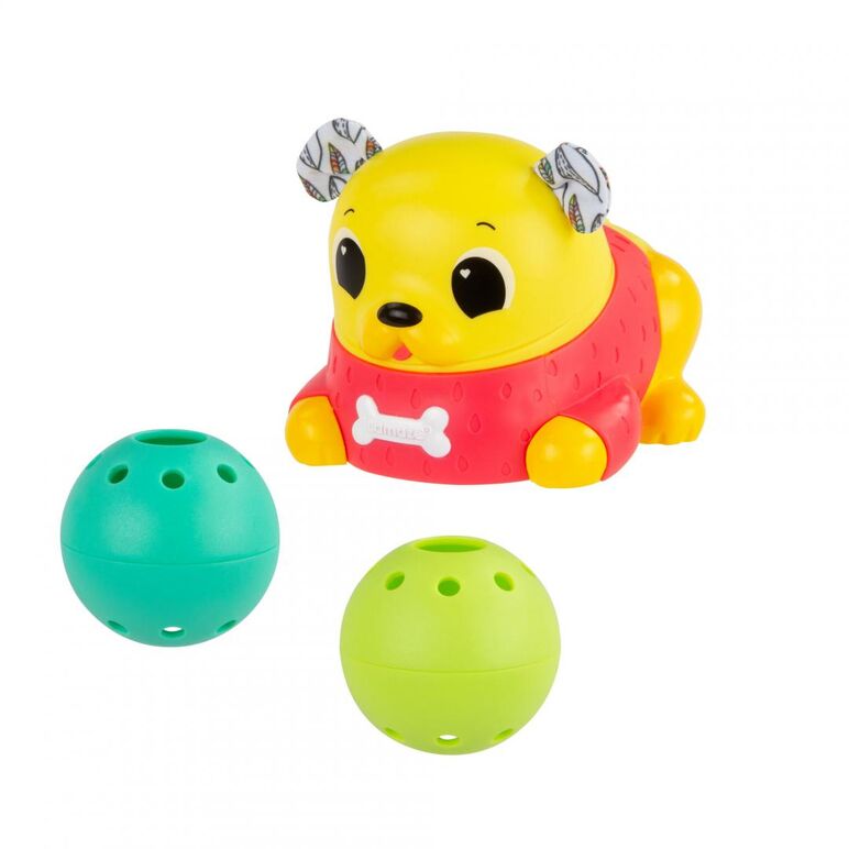 Crawl & chase pug popper,  Jucarii interactive bebelusi | electropc.ro