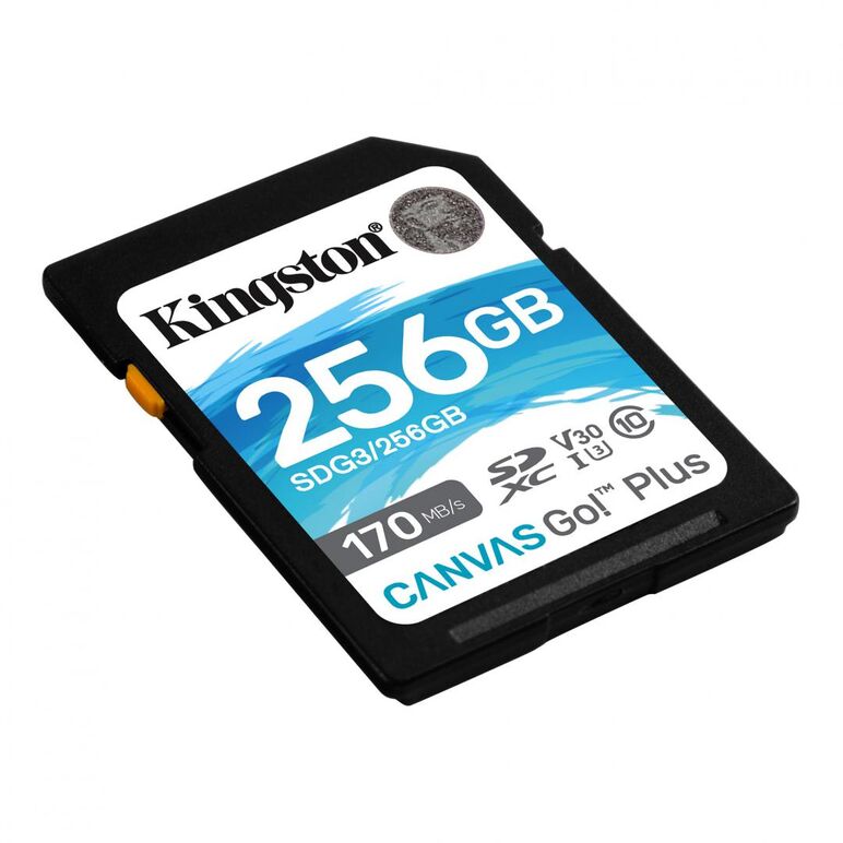 Card de memorie sd kingston canvas go plus, 256gb, class 10,  Carduri memorie | electropc.ro